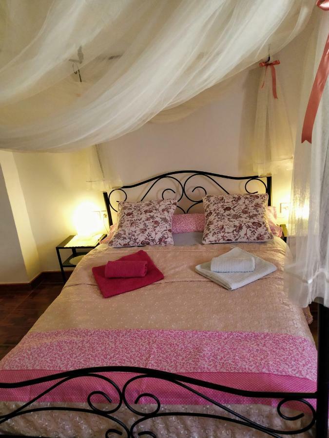 Apartamento Entero "El Casco Antiguo" Vt-46811-V Xativa Luaran gambar