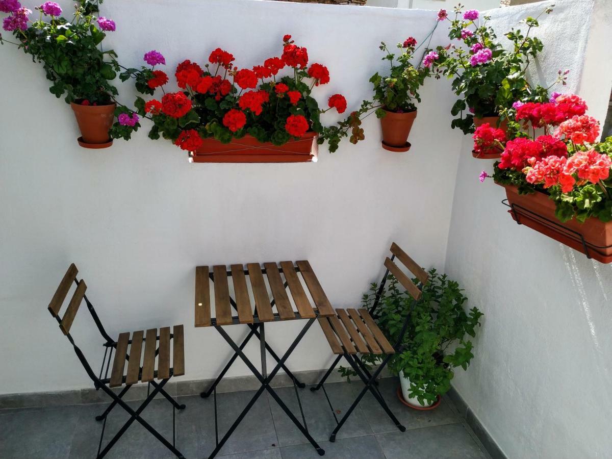 Apartamento Entero "El Casco Antiguo" Vt-46811-V Xativa Luaran gambar