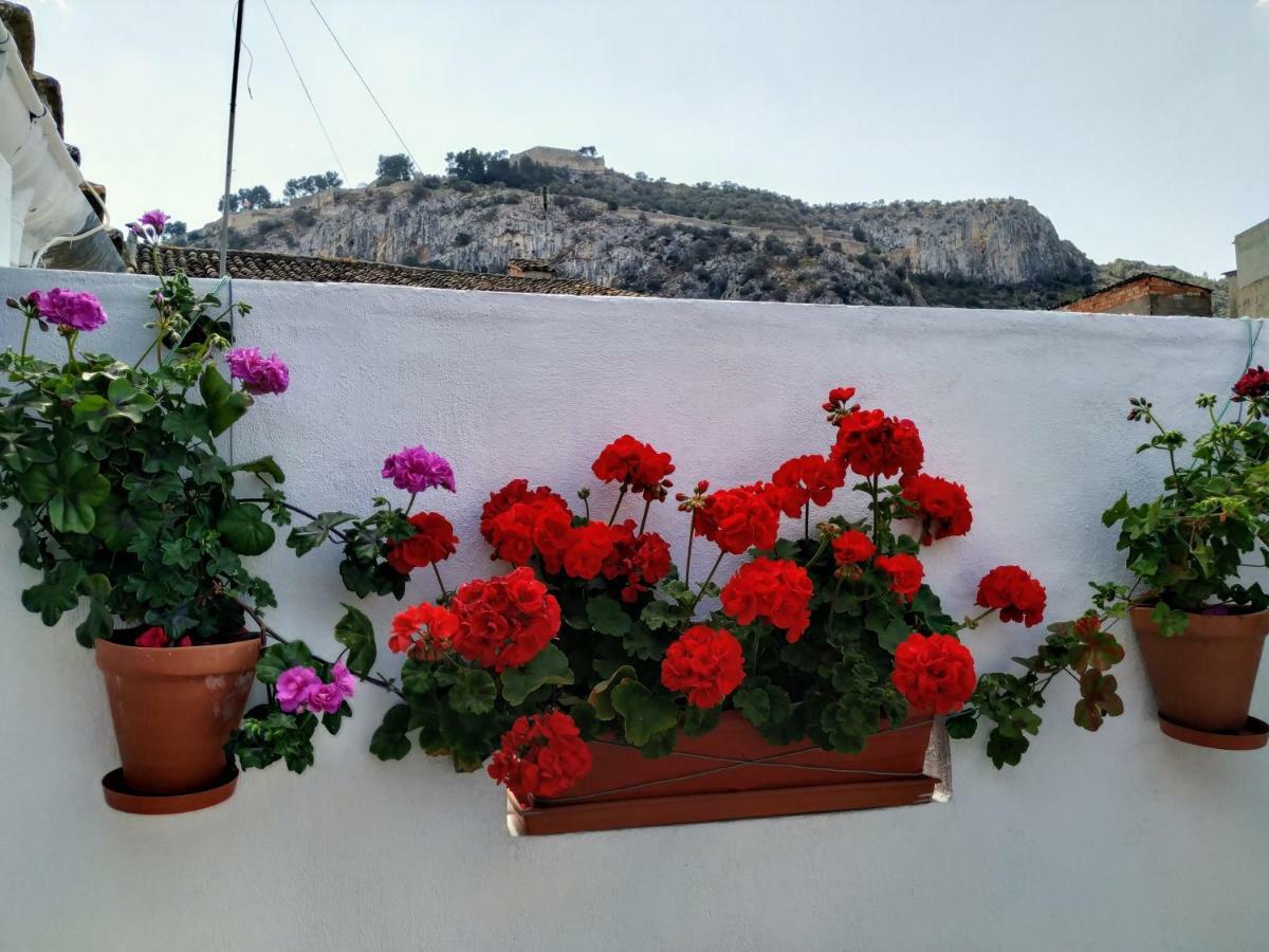 Apartamento Entero "El Casco Antiguo" Vt-46811-V Xativa Luaran gambar